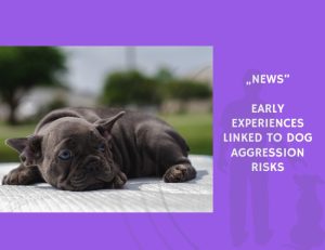 News-Early Experiences Linked to Dog Aggression Risks