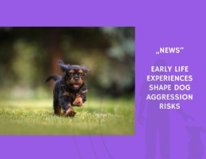 News-Early Life Experiences Shape Dog Aggression Risks