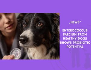 News-Enterococcus faecium from Healthy Dogs Shows Probiotic Potential