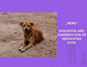 News-Evolution and Conservation of Indigenous Dogs