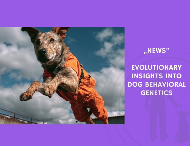 News-Evolutionary Insights into Dog Behavioral Genetics