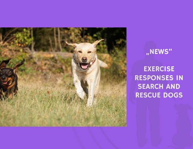 News-Exercise Responses in Search and Rescue Dogs