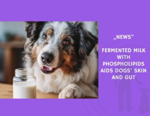 News-Fermented Milk with Phospholipids Aids Dogs’ Skin and Gut