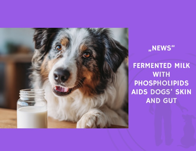 News-Fermented Milk with Phospholipids Aids Dogs’ Skin and Gut