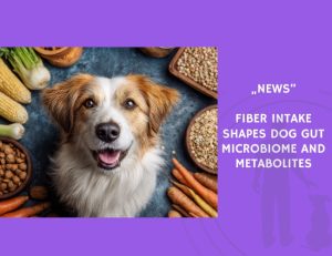 News-Fiber Intake Shapes Dog Gut Microbiome and Metabolites