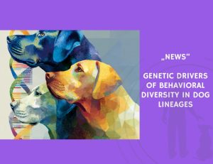 News-Genetic Drivers of Behavioral Diversity in Dog Lineages