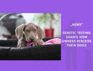 News-Genetic Testing Shapes How Owners Perceive Their Dogs