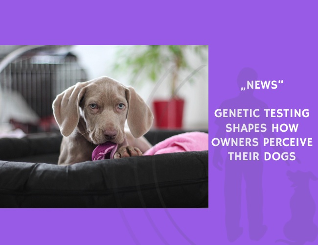 News-Genetic Testing Shapes How Owners Perceive Their Dogs