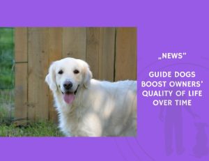 News-Guide Dogs Boost Owners’ Quality of Life Over Time
