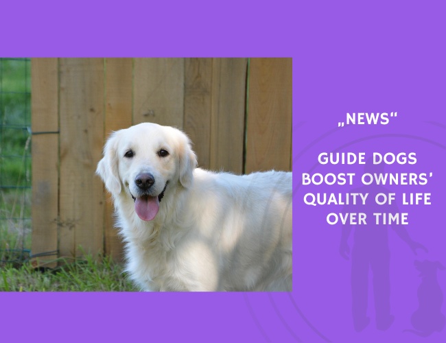 News-Guide Dogs Boost Owners’ Quality of Life Over Time