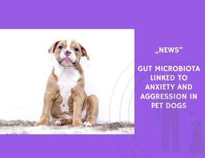 News-Gut Microbiota Linked to Anxiety and Aggression in Pet Dogs