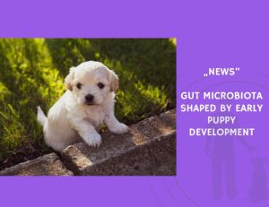 News-Gut Microbiota Shaped by Early Puppy Development