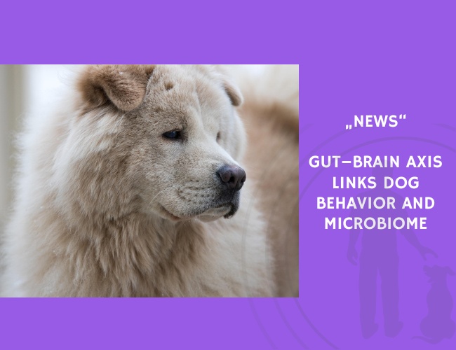 News-Gut–Brain Axis Links Dog Behavior and Microbiome