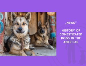 News-History of Domesticated Dogs in the Americas