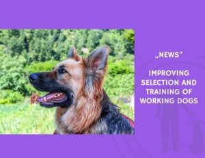 News-Improving Selection and Training of Working Dogs
