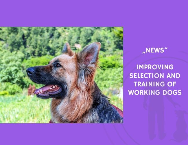 News-Improving Selection and Training of Working Dogs