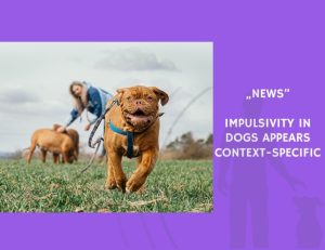 News-Impulsivity in Dogs Appears Context-Specific