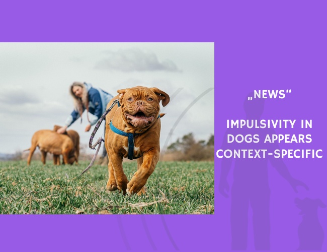 News-Impulsivity in Dogs Appears Context-Specific