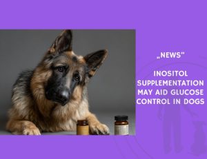 News-Inositol Supplementation May Aid Glucose Control in Dogs
