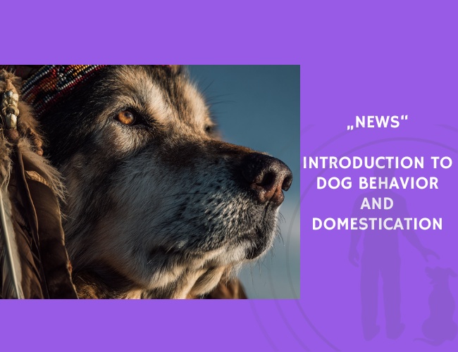 News-Introduction to Dog Behavior and Domestication