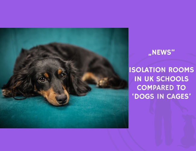News-Isolation Rooms in UK Schools Compared to ‘Dogs in Cages’