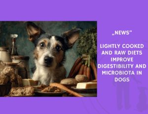 News-Lightly Cooked and Raw Diets Improve Digestibility and Microbiota in Dogs