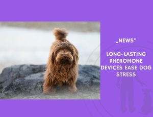 News-Long-Lasting Pheromone Devices Ease Dog Stress