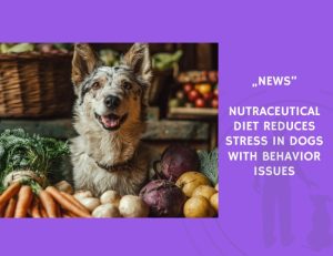 News-Nutraceutical Diet Reduces Stress in Dogs with Behavior Issues