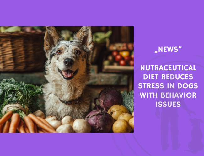 News-Nutraceutical Diet Reduces Stress in Dogs with Behavior Issues