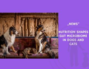 News-Nutrition Shapes Gut Microbiome in Dogs and Cats
