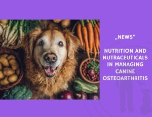 News-Nutrition and Nutraceuticals in Managing Canine Osteoarthritis