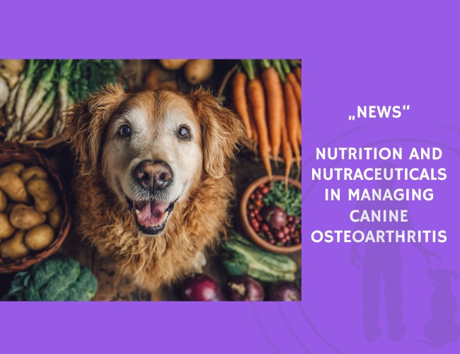 News-Nutrition and Nutraceuticals in Managing Canine Osteoarthritis