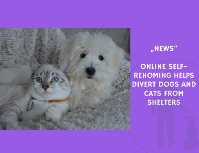 News-Online Self-Rehoming Helps Divert Dogs and Cats from Shelters