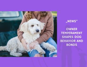 News-Owner Temperament Shapes Dog Behavior and Bonds