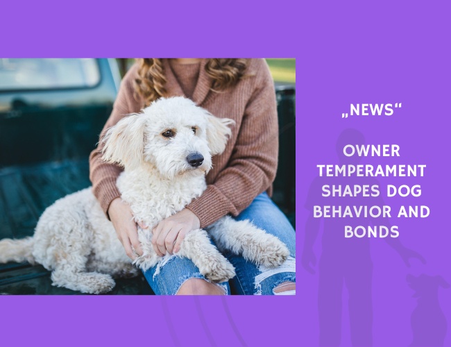 News-Owner Temperament Shapes Dog Behavior and Bonds