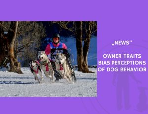 News-Owner Traits Bias Perceptions of Dog Behavior