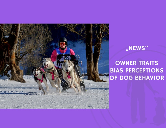 News-Owner Traits Bias Perceptions of Dog Behavior