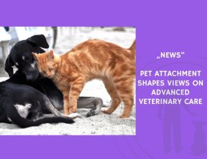 News-Pet Attachment Shapes Views on Advanced Veterinary Care