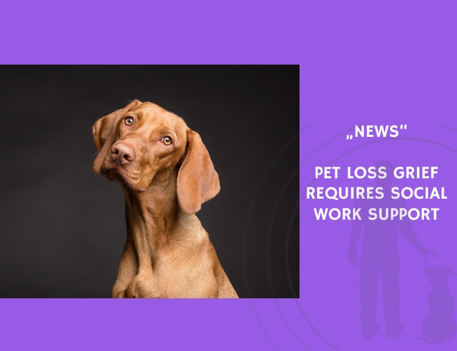 News-Pet Loss Grief Requires Social Work Support