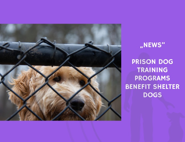 News-Prison Dog Training Programs Benefit Shelter Dogs