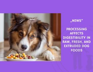 News-Processing Affects Digestibility in Raw, Fresh, and Extruded Dog Foods