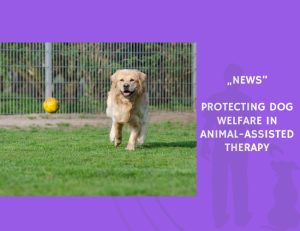 News-Protecting Dog Welfare in Animal-Assisted Therapy