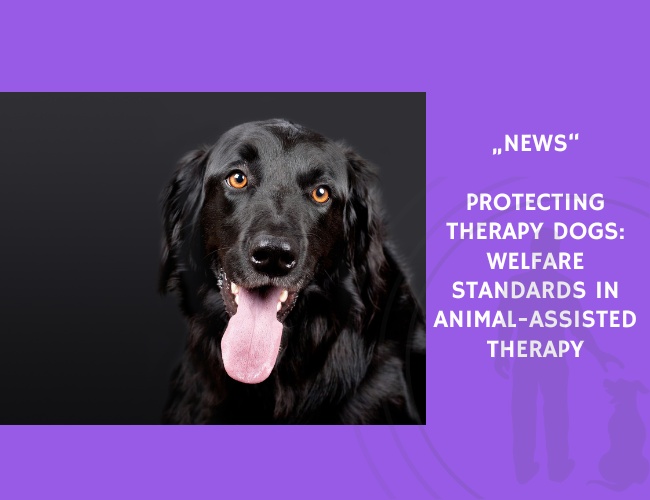 News-Protecting Therapy Dogs Welfare Standards in Animal-Assisted Therapy