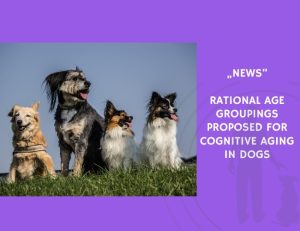 News-Rational Age Groupings Proposed for Cognitive Aging in Dogs