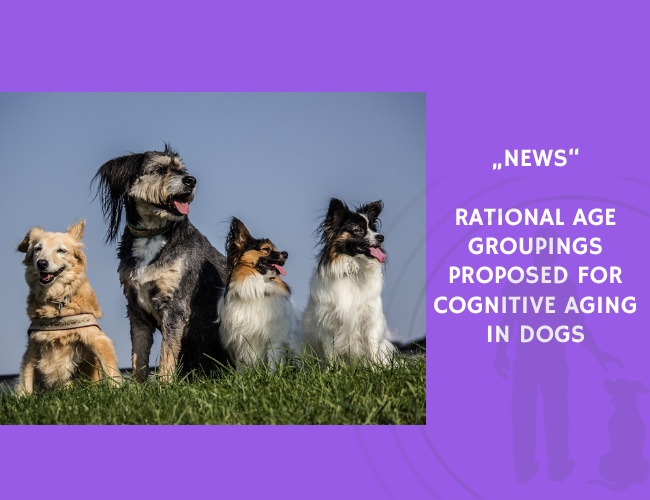News-Rational Age Groupings Proposed for Cognitive Aging in Dogs