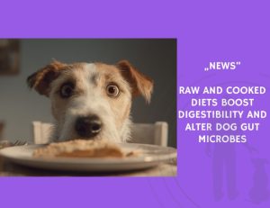 News-Raw and Cooked Diets Boost Digestibility and Alter Dog Gut Microbes
