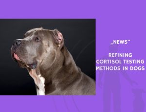 News-Refining Cortisol Testing Methods in Dogs