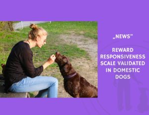 News-Reward Responsiveness Scale Validated in Domestic Dogs