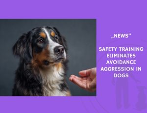 News-Safety Training Eliminates Avoidance Aggression in Dogs