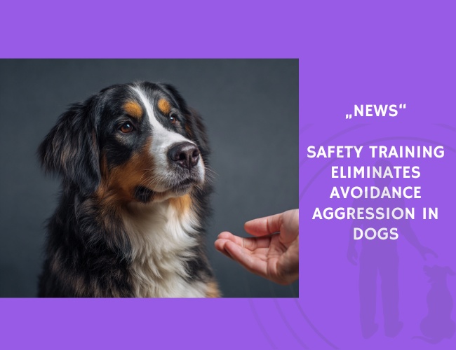 News-Safety Training Eliminates Avoidance Aggression in Dogs